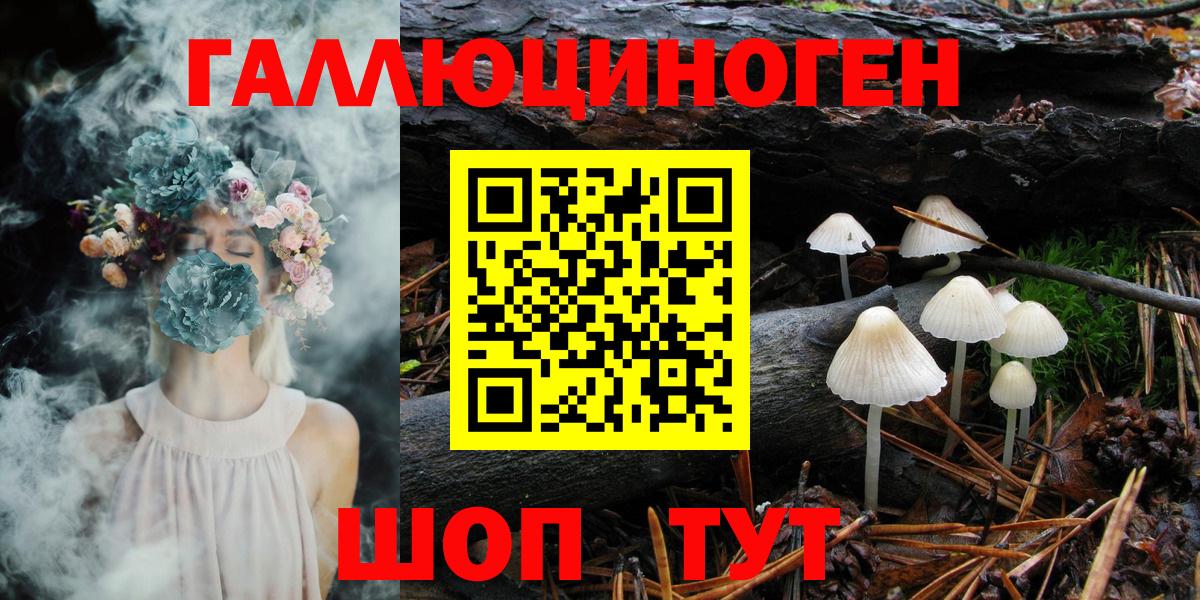 Галлюциногенные грибы мухоморы Междуреченск
