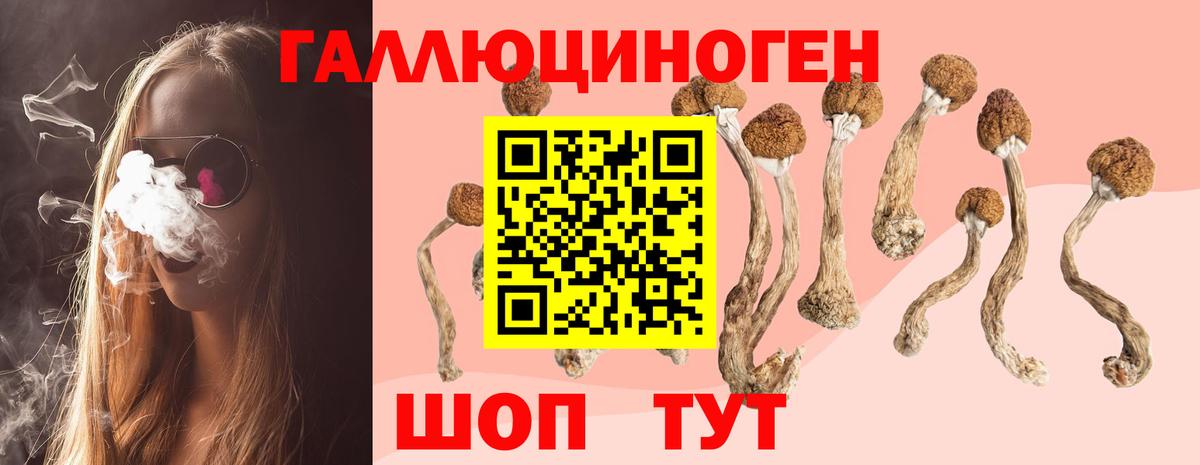 Междуреченск  Псилоцибиновые грибы Magic Shrooms  Вход с VPN 